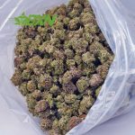 Buy GMO Cookies AAAA (Popcorn) at BudExpressNOW Online Shop