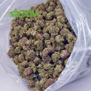 Buy GMO Cookies AAAA (Popcorn) at BudExpressNOW Online Shop