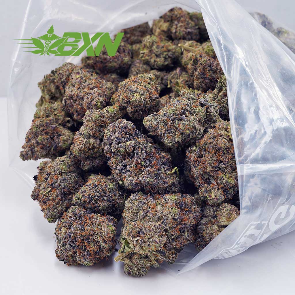 Buy Platinum Pink Kush (Craft) at BudExpressNOW Online Shop Buy Platinum Pink Kush (Craft) at BudExpressNOW Online Shop