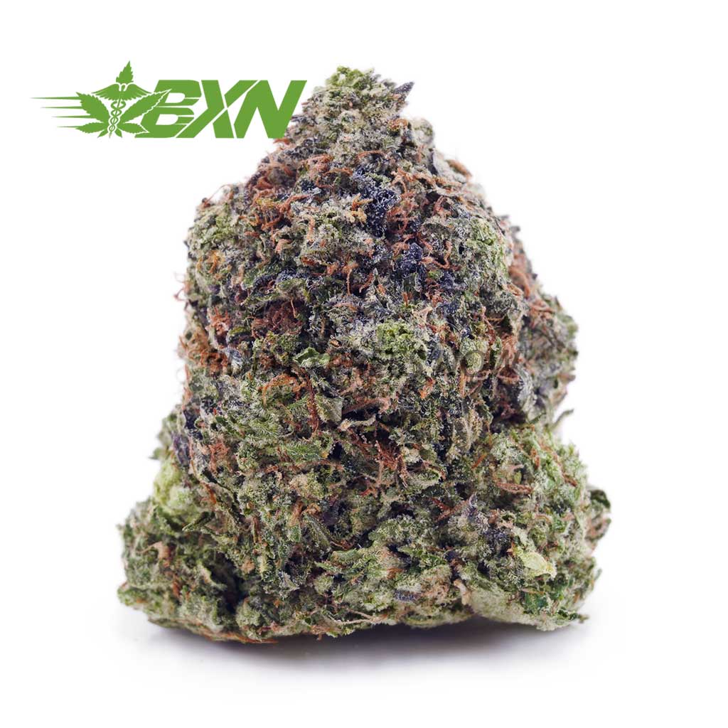 Buy Guava Gelato AA at BudExpressNOW Online Shop