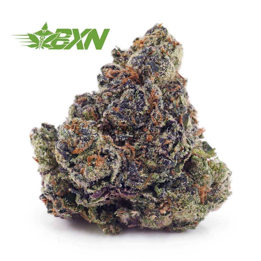 Buy Violator AA at BudExpressNOW Online Shop