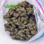 Buy Violator AA at BudExpressNOW Online Shop