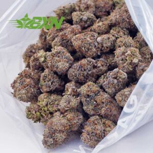 Buy Hell's Angels OG AAAA at BudExpressNOW Online Shop