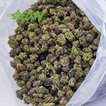 Buy Super Lemon Haze AAAA (Popcorn) at BudExpressNOW Online Shop