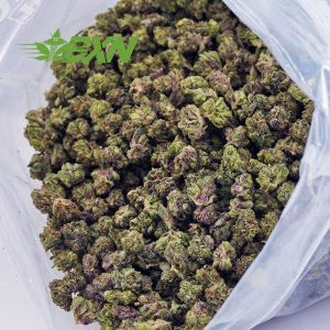 Buy Super Lemon Haze AAAA (Popcorn) at BudExpressNOW Online Shop