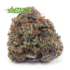 Buy Pineapple Gelato AAAA at BudExpressNOW Online