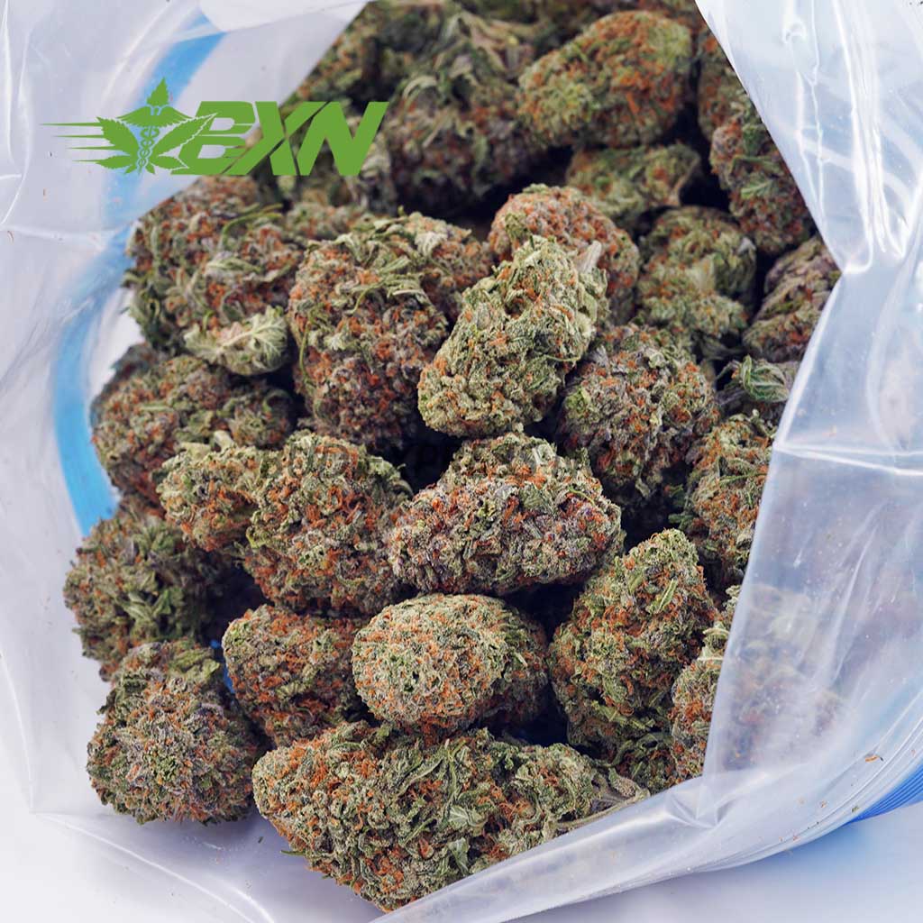 EA PINEAPPLEGELATO BXN Buy Pineapple Gelato AAAA at BudExpressNOW Online