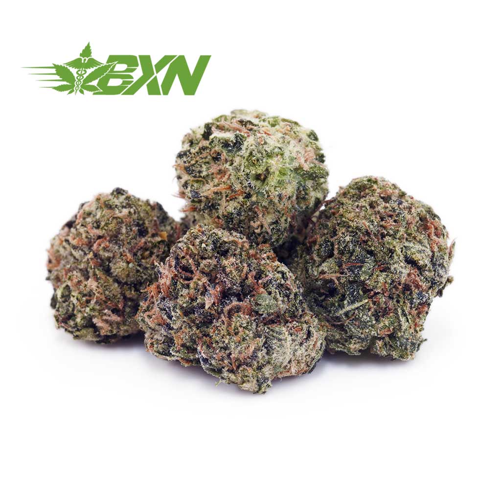 Buy Maui Wowie AAAA (Popcorn) at BudExpressNOW Online Shop