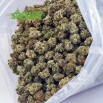 Buy Maui Wowie AAAA (Popcorn) at BudExpressNOW Online Shop