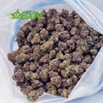 Buy Blueberry Punch AAAA (Popcorn) at BudExpressNOW Online Shop
