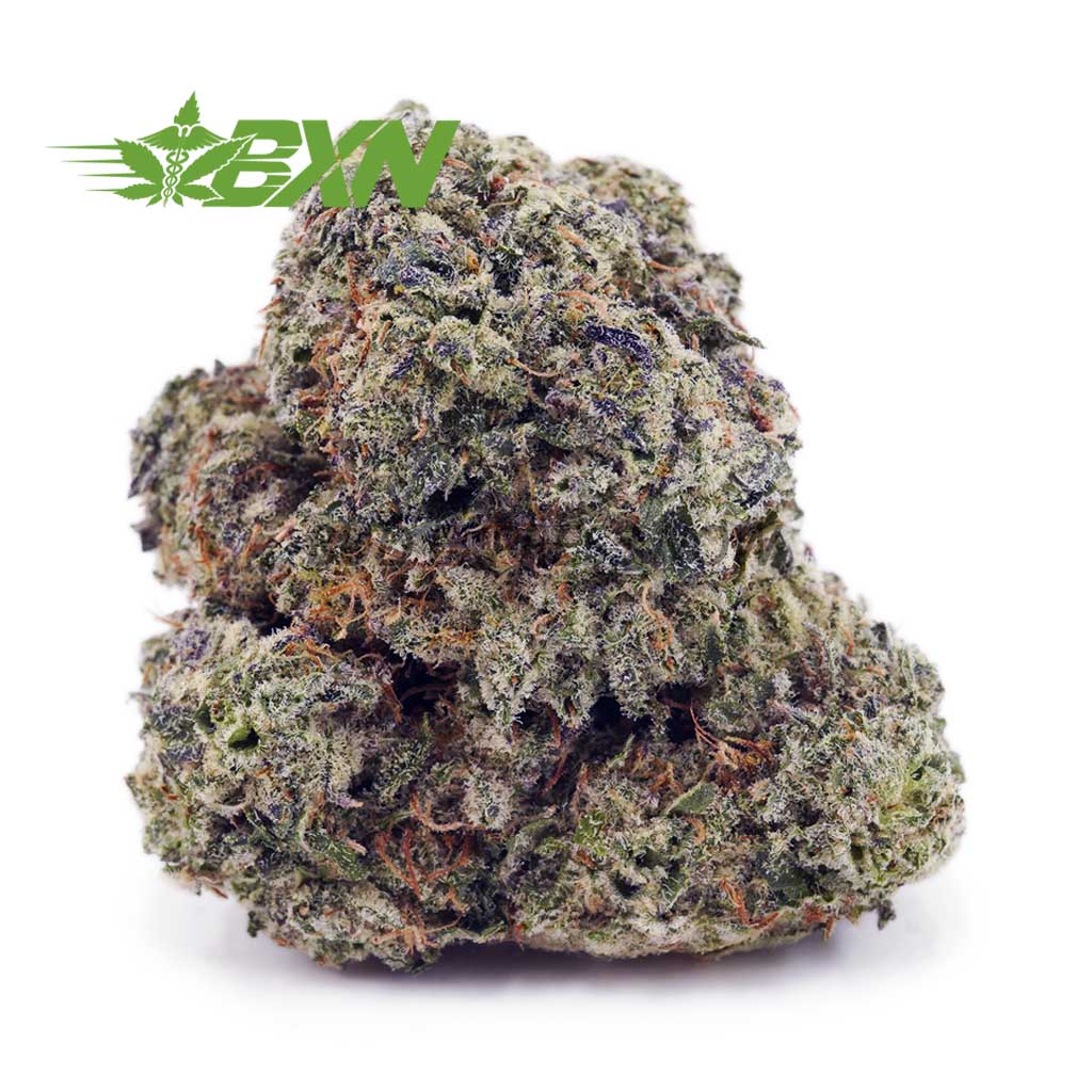 Buy Georgia Pie AAA at BudExpressNOW Online Shop