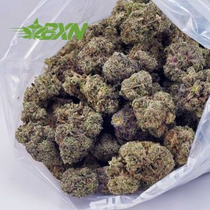 Buy Georgia Pie AAA at BudExpressNOW Online Shop