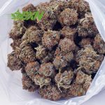 Buy Grape Crush AAA at BudExpressNOW Online Shop