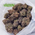 Buy OG Octane (Craft) at BudExpressNOW Online Shop