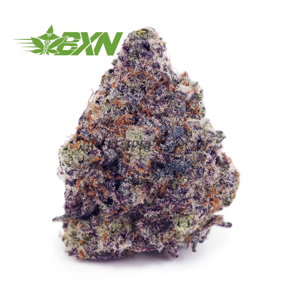 Buy Miracle Alien Cookies (Craft) at BudExpressNOW Online