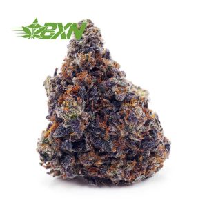 Buy Pink Kush AAAA at BudExpressNOW Online Shop