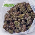 Buy Pink Kush AAAA at BudExpressNOW Online Shop