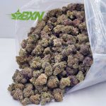 Buy Jungle Mintz AAAA (Popcorn) at BudExpressNOW Online Shop