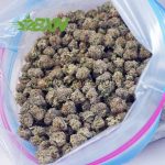 Buy Astro Cookies AAAA (Popcorn) at BudExpressNOW Online Shop