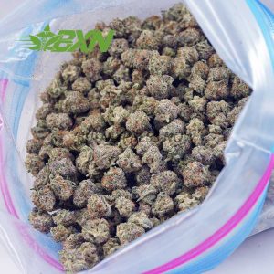 Buy Astro Cookies AAAA (Popcorn) at BudExpressNOW Online Shop