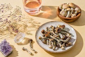 Are Shrooms Dangerous in the Long Run