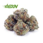 Buy King Kong AAAA (Popcorn) at BudExpressNOW Online Shop