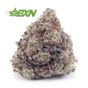 Buy Donny Burger AAA at BudExpressNOW Online Shop