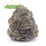 Buy Bacio Gelato (Craft) at BudExpressNOW Online Shop