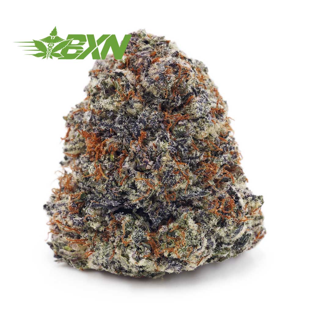 Buy Blueberry Cheesecake (Craft) at BudExpressNOW Online Shop