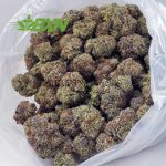 Buy Blueberry Cheesecake (Craft) at BudExpressNOW Online Shop