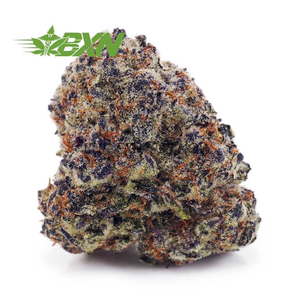 EA PURPLEGASOLINE BXN Buy Purple Gasoline AAA at BudExpressNOW Online Shop