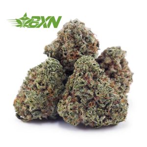 Buy Permanent Marker AAAA (Popcorn) at BudExpressNOW Online Shop