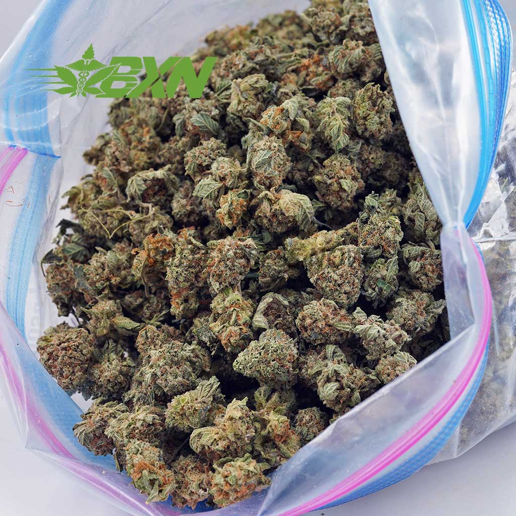 Buy Permanent Marker AAAA (Popcorn) at BudExpressNOW Online Shop