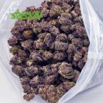 Buy Peanut Butter Breath AAAA (Popcorn) at BudExpressNOW Online