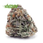 Buy White Skunk AA at BudExpressNOW Online Shop