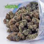 Buy White Skunk AA at BudExpressNOW Online Shop