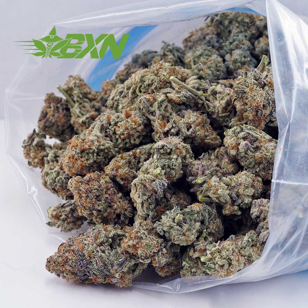 Buy White Skunk AA at BudExpressNOW Online Shop