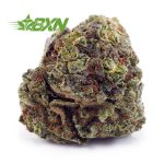 Buy Fire OG AA at BudExpressNOW Online Shop