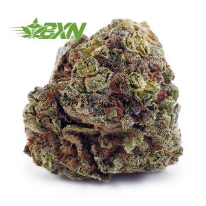 Buy Fire OG AA at BudExpressNOW Online Shop