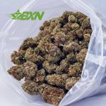 Buy Fire OG AA at BudExpressNOW Online Shop