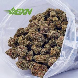 Buy Fire OG AA at BudExpressNOW Online Shop