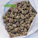 Buy Jean Guy AAAA (Popcorn) at BudExpressNOW Online Shop