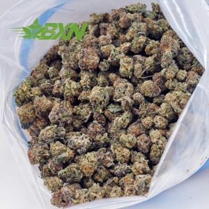 Buy Jean Guy AAAA (Popcorn) at BudExpressNOW Online Shop