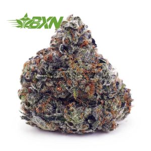 Buy Tom Ford Pink Kush (Craft) at BudExpressNOW Online Shop