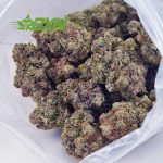 Buy Tom Ford Pink Kush (Craft) at BudExpressNOW Online Shop