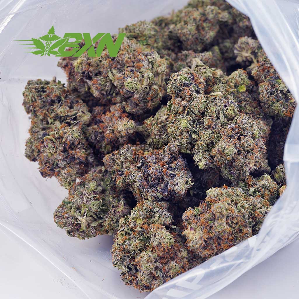 EA TOMFORDPINKKUSH BXN Buy Tom Ford Pink Kush (Craft) at BudExpressNOW Online Shop