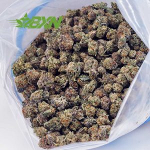 Buy Rockstar AAAA (Popcorn) at BudExpressNOW Online Shop