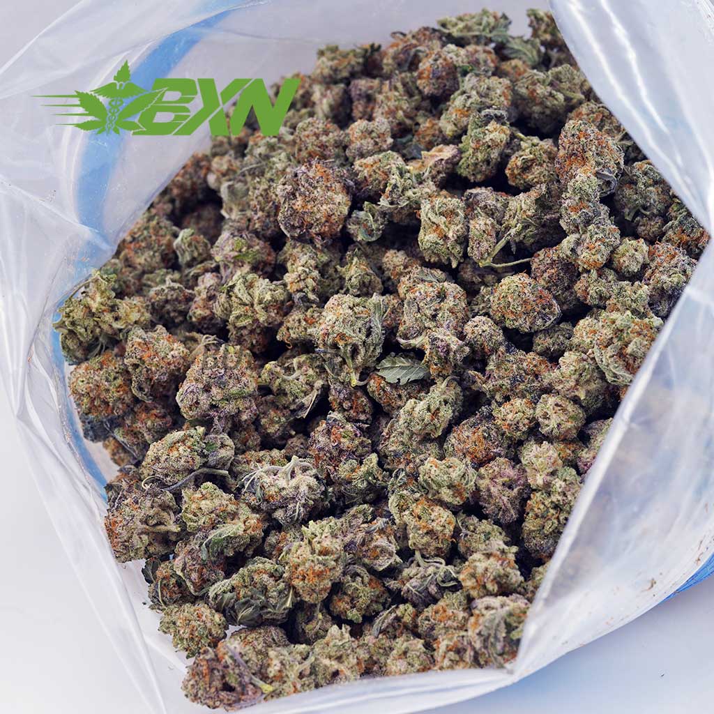 Buy Rockstar AAAA (Popcorn) at BudExpressNOW Online Shop