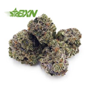 Buy GMO Cookies AAAA (Popcorn) at BudExpressNOW Online Shop