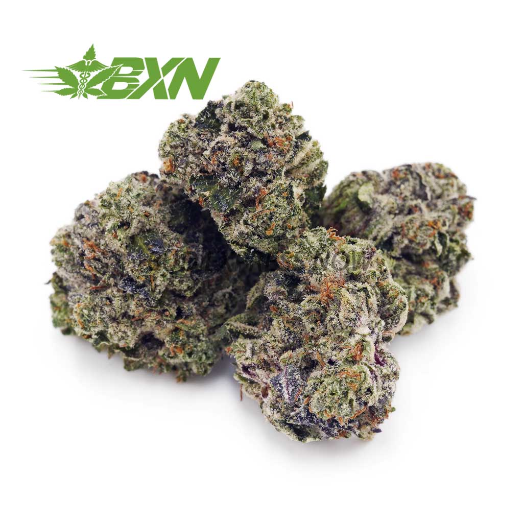 Buy GMO Cookies AAAA (Popcorn) at BudExpressNOW Online Shop